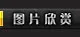 九游-APP下载