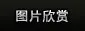 九游-APP下载